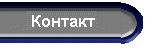 Контакт